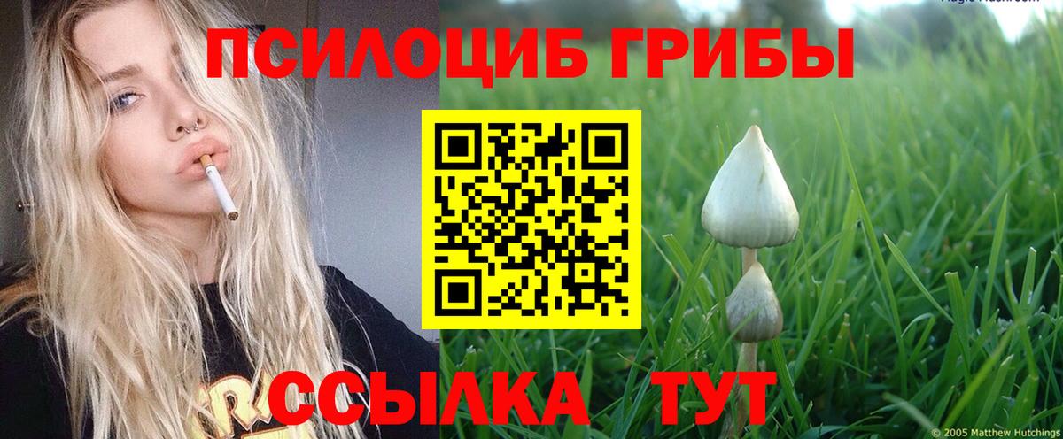 Туапсе  Галлюциногенные грибы GOLDEN TEACHER  Вход с VPN 